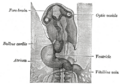 Thumbnail for version as of 17:28, 18 May 2026