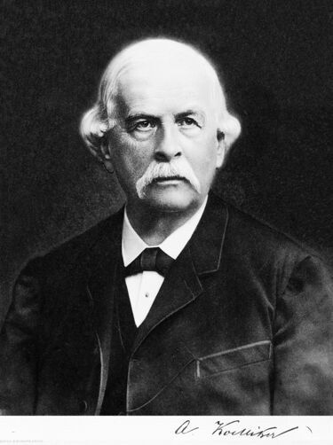 File:Kölliker Rudolph Albert von 1818-1902.jpg