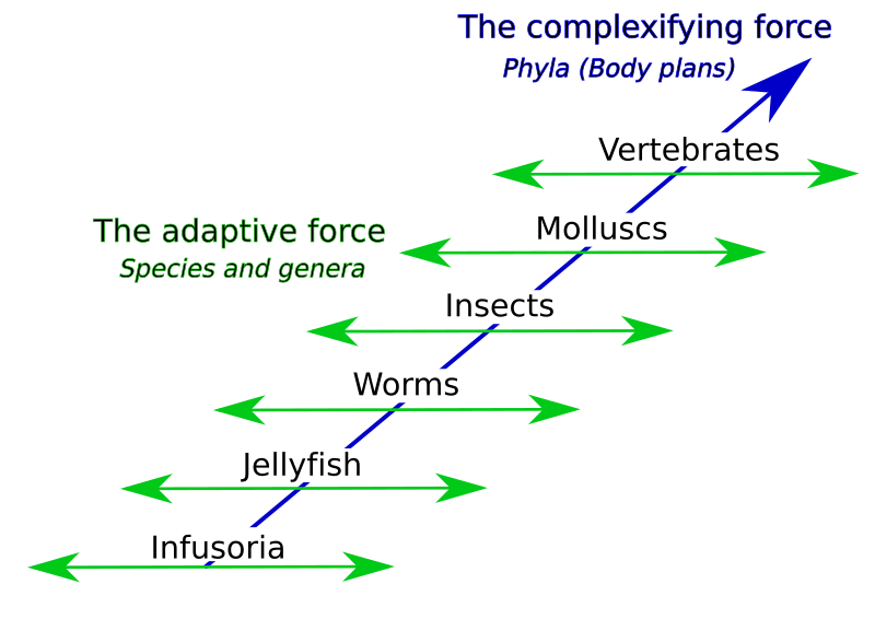 File:Lamarck's Two-Factor Theory.svg