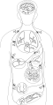 Thumbnail for version as of 22:34, 8 June 2026