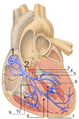 Thumbnail for version as of 09:19, 30 May 2026