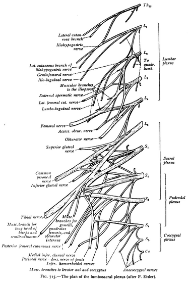 File:Sobo 1909 715.png