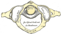 Thumbnail for version as of 17:28, 18 May 2026