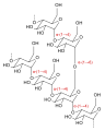 Thumbnail for version as of 14:55, 19 May 2026