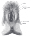 Thumbnail for version as of 17:28, 18 May 2026