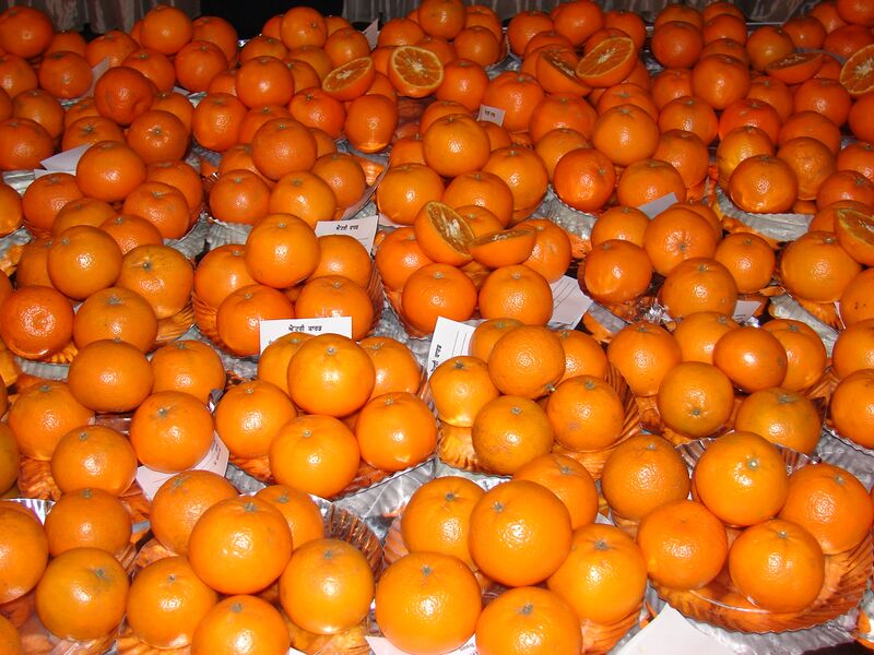 File:Kinnow fruits.JPG