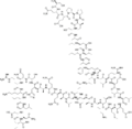 Thumbnail for version as of 13:13, 22 May 2026