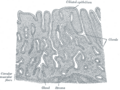 Thumbnail for version as of 17:28, 18 May 2026