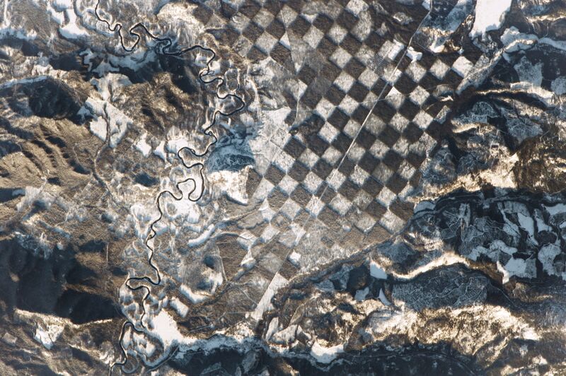 File:Checkerboard forest in Idaho.jpg