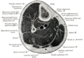 Thumbnail for version as of 17:28, 18 May 2026