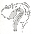Thumbnail for version as of 17:28, 18 May 2026