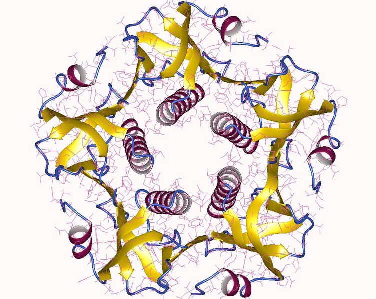 File:1chq.jpg