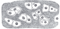 Thumbnail for version as of 17:27, 18 May 2026