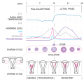 Thumbnail for version as of 00:59, 19 May 2026