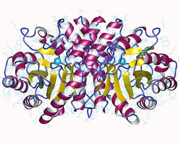 File:2cw6.jpg