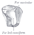 Thumbnail for version as of 17:27, 18 May 2026