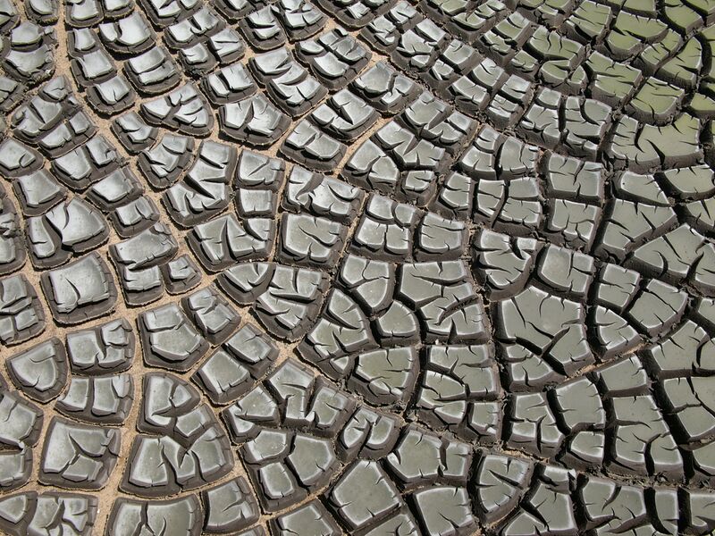 File:Desiccation-cracks hg.jpg