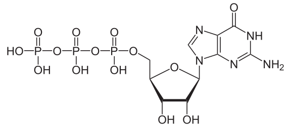 File:Guanosintriphosphat protoniert.svg