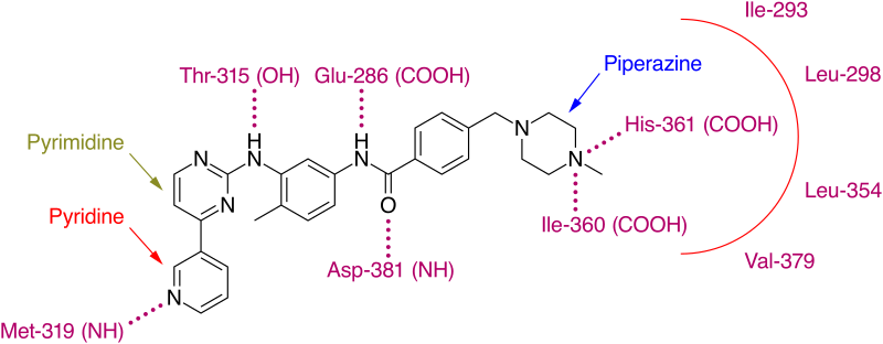 File:Imatinib in its binding site.svg