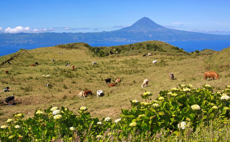 File:Açores 2010-07-19 (5046778098).jpg