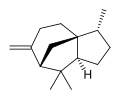 Thumbnail for version as of 14:55, 19 May 2026