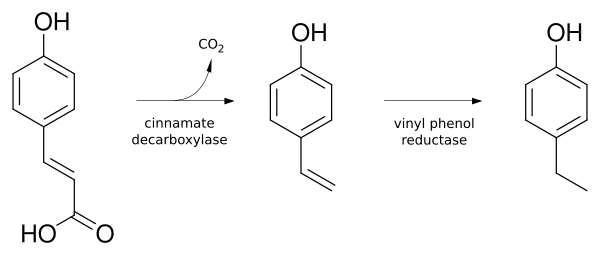 File:Coumaric acid to 4-ethyphenol.svg