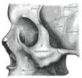 Thumbnail for version as of 17:28, 18 May 2026