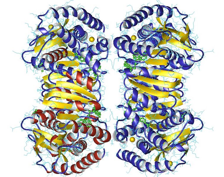 File:2dfd.jpg