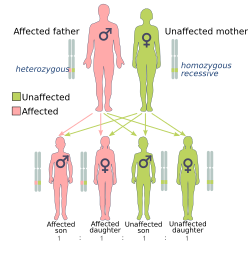 Autosomal dominant Heredity