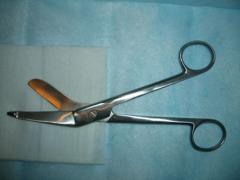 File:Bandage Scissors.JPG