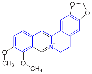 File:Benzylisoquinoline structure in Berberine.svg