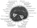 Thumbnail for version as of 17:28, 18 May 2026
