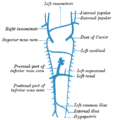 Thumbnail for version as of 17:28, 18 May 2026