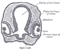 Thumbnail for version as of 17:28, 18 May 2026