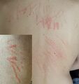 Thumbnail for version as of 22:29, 8 June 2026
