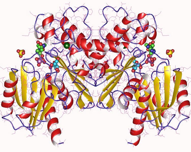 File:3lm9.jpg