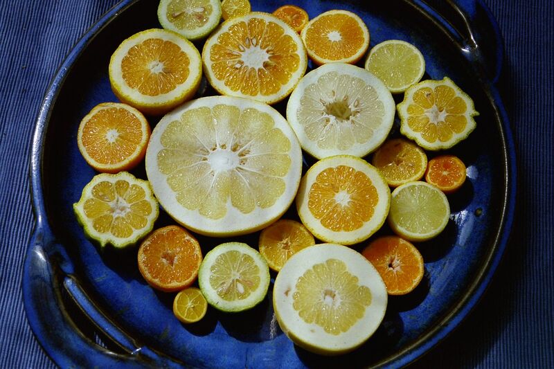 File:Anschn-citrus.jpg