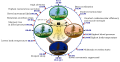 Thumbnail for version as of 22:13, 18 May 2026