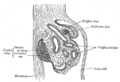 Thumbnail for version as of 17:28, 18 May 2026