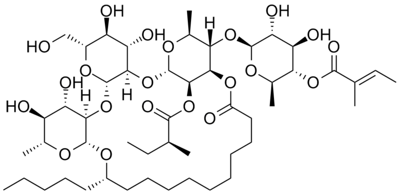 File:Scammonin I.png