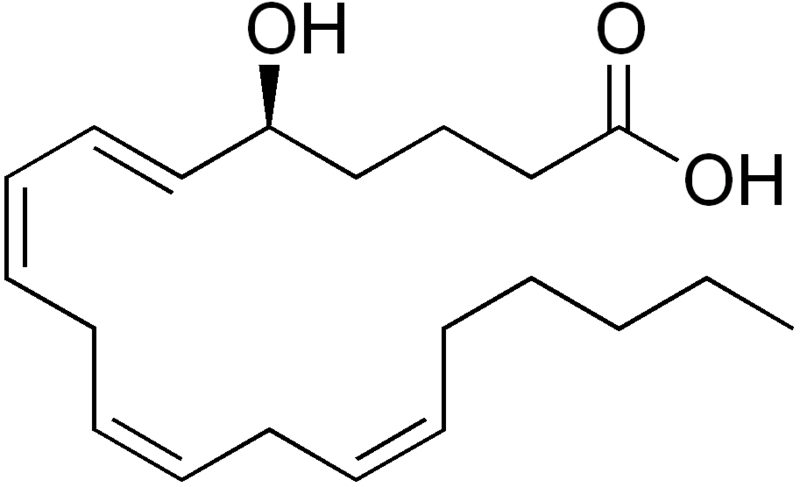 File:5-HETE.png
