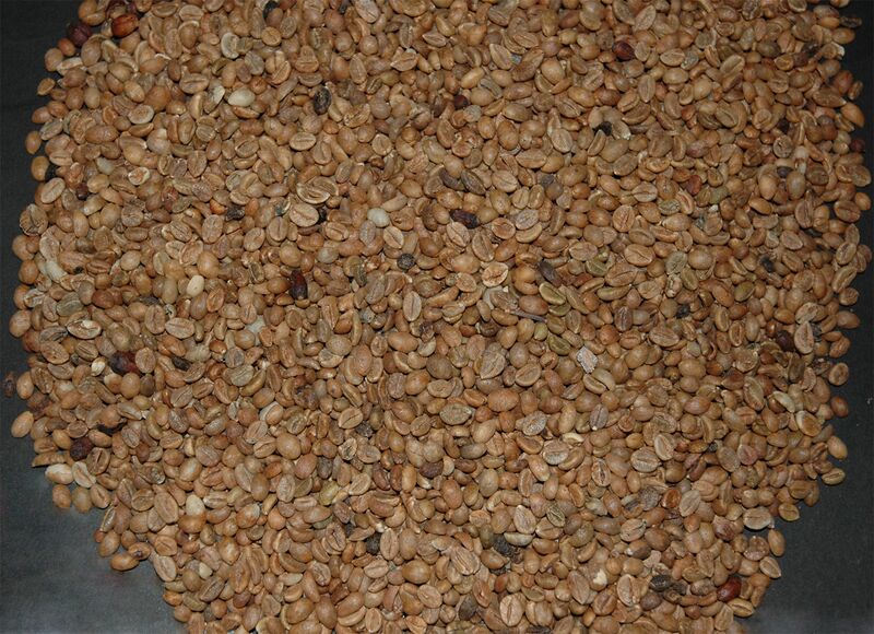 File:Canephora.jpg
