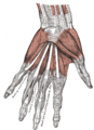 Thumbnail for version as of 17:28, 18 May 2026