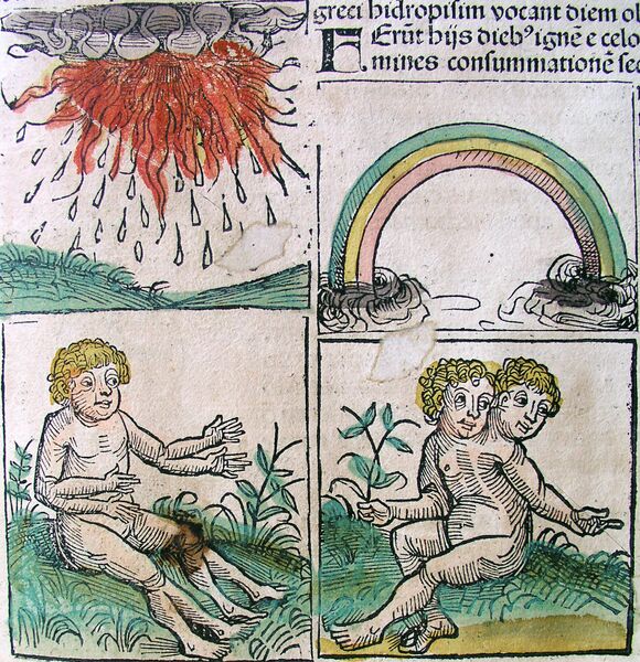 File:Nuremberg chronicles - Omens (CLIr).jpg
