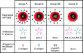 ABO blood type