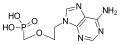 Thumbnail for version as of 11:33, 19 May 2026
