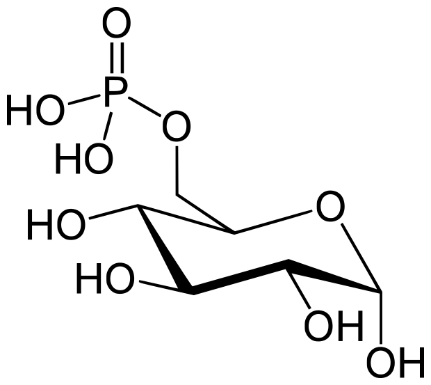 File:Alpha-D-glucopyranose 6-phosphate.svg