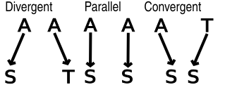File:Evolutionary trends.svg