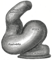 Thumbnail for version as of 17:28, 18 May 2026