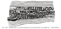 Thumbnail for version as of 17:28, 18 May 2026